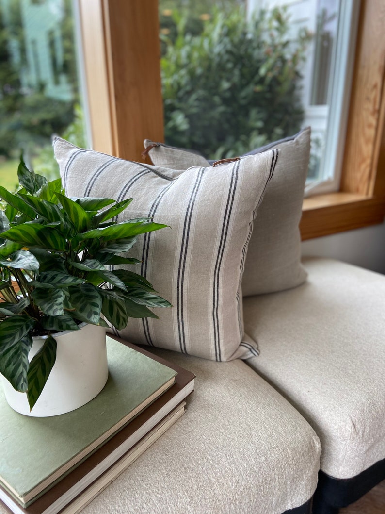May include: Two striped throw pillows with a beige and black striped pattern are on a white couch. A green potted plant with large leaves is in front of the pillows. A stack of books is on the couch in front of the plant.