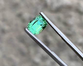 May include: A vibrant, rectangular-cut gemstone, held by silver tweezers. The gem displays a captivating gradient of green hues, transitioning from a deep emerald to a lighter, more translucent shade. The stone's facets catch the light, creating a sparkling effect.