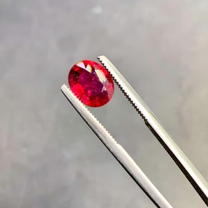 May include: A vivid, oval-shaped ruby gemstone held by silver tweezers against a grey background. The ruby displays a deep red hue with internal reflections, showcasing its clarity and brilliance. The tweezers provide a close-up view of the gemstone.