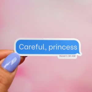 Text Message Sticker, Raihn, The Serpent and the Wings of Night Sticker, Kindle Reader, Crowns of Nyaxia, Book Merch, Carissa Broadbent