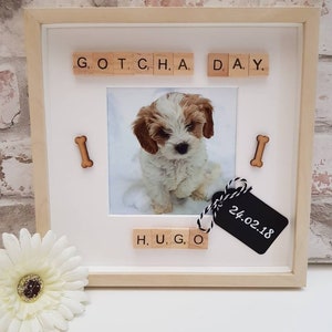 Dog Puppy Gotcha Day Personalised Frame