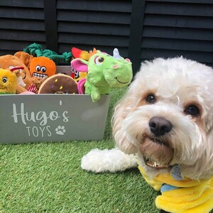 Op de afbeelding: Een witte hond met een geel en blauw shirt zit op groen gras naast een grijze opbergbak met het label "Hugo's Toys". De bak is gevuld met kleurrijke pluche hondenspeelgoed, waaronder een groene dinosaurus, een bruine donut en een oranje wortel.