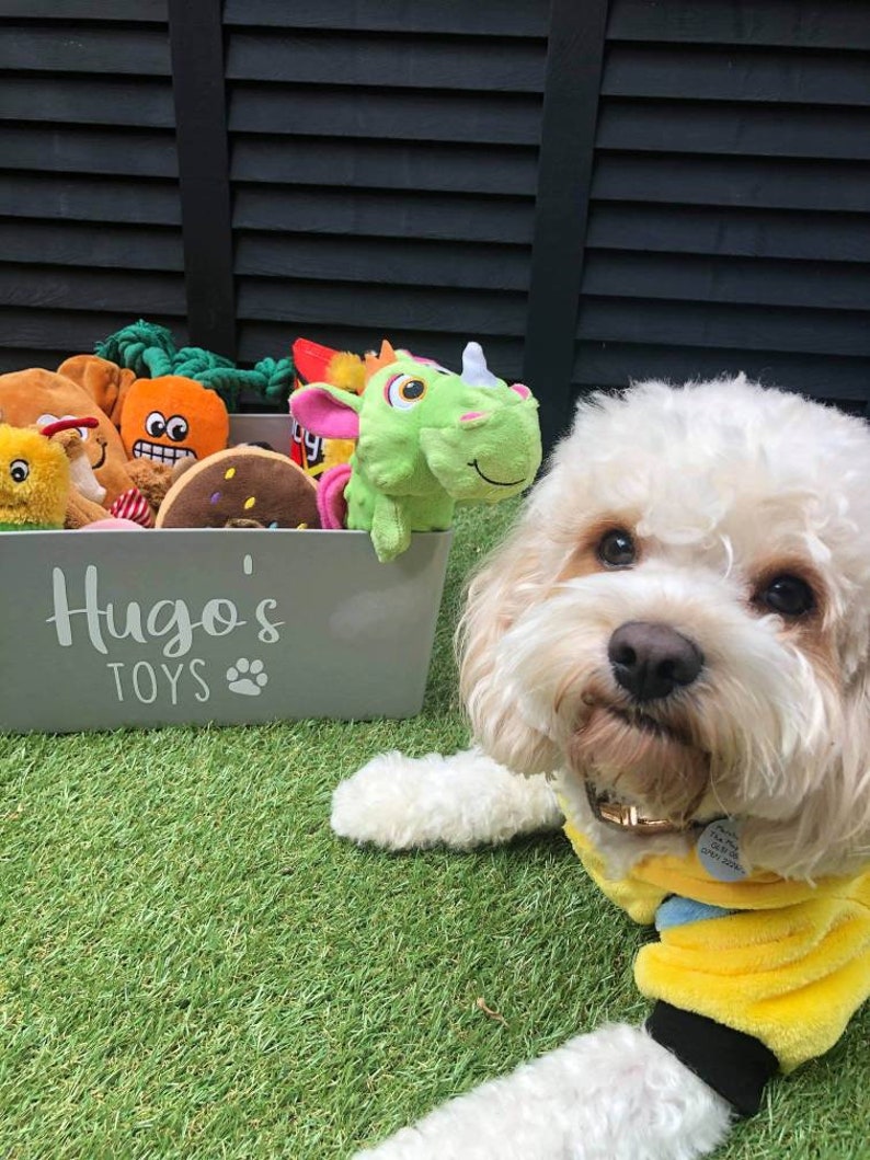 Op de afbeelding: Een witte hond met een geel en blauw shirt zit op groen gras naast een grijze opbergbak met het label "Hugo's Toys". De bak is gevuld met kleurrijke pluche hondenspeelgoed, waaronder een groene dinosaurus, een bruine donut en een oranje wortel.