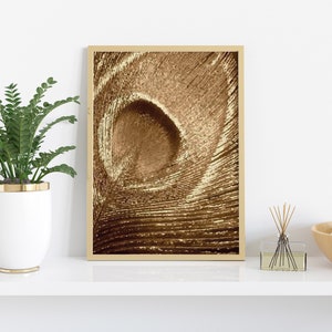 May include: A framed print of a close-up of a brown peacock feather. The feather has a swirling pattern and a textured surface.