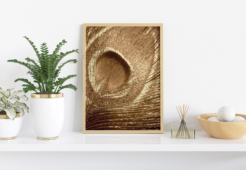 May include: A framed print of a close-up of a brown peacock feather. The feather has a swirling pattern and a textured surface.