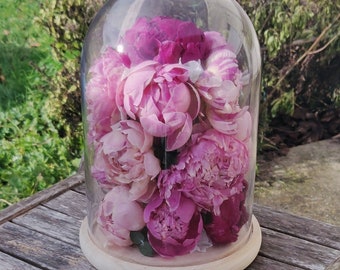 Cloche de pivoines éternelles lyophilisées fleurs naturelles décoration originale - Taille XL