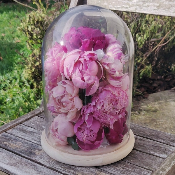 Cloche de pivoines éternelles lyophilisées fleurs naturelles décoration originale - Taille XL