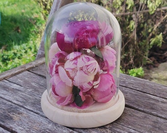 Bell of freeze-dried eternal peonies natural flowers original decoration - Size M