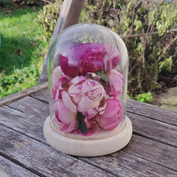 Bell of freeze-dried eternal peonies natural flowers original decoration - Size M