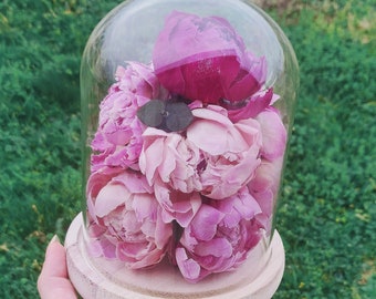 Cloche de pivoines éternelles lyophilisées fleurs naturelles décoration originale - Taille L