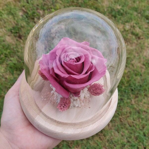 Cloche d'une création éternelle stabilisée, fleur naturelle décoration originale chic, nature, rose, élégante et raffinée - Taille S