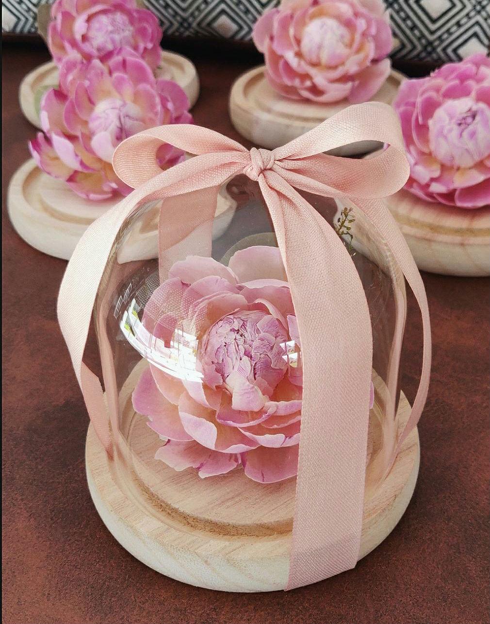 Freeze-dried eternal peony bell, natural flowers, original decoration - Size S