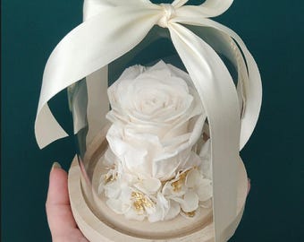 Bell of a stabilized eternal rose, natural flower original decoration chic, nature, elegant and refined - Size S