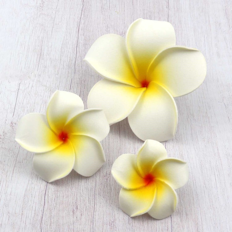 50XFashion Foam Artificial Plumeria Heads Frangipani Wedding Etsy