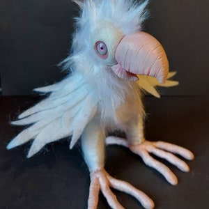 Albino baby crow