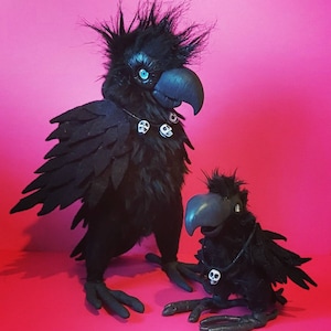 Large black crow