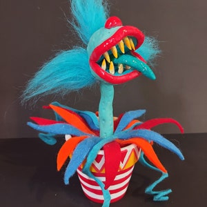 Little clown plant