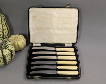 Vintage English Sheffield Fruit Knives Boxed Set E Leclere Faux Ivory Handle