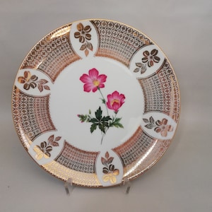 Winterling porcelain: history, quality and collectible value from Bavaria, Germany