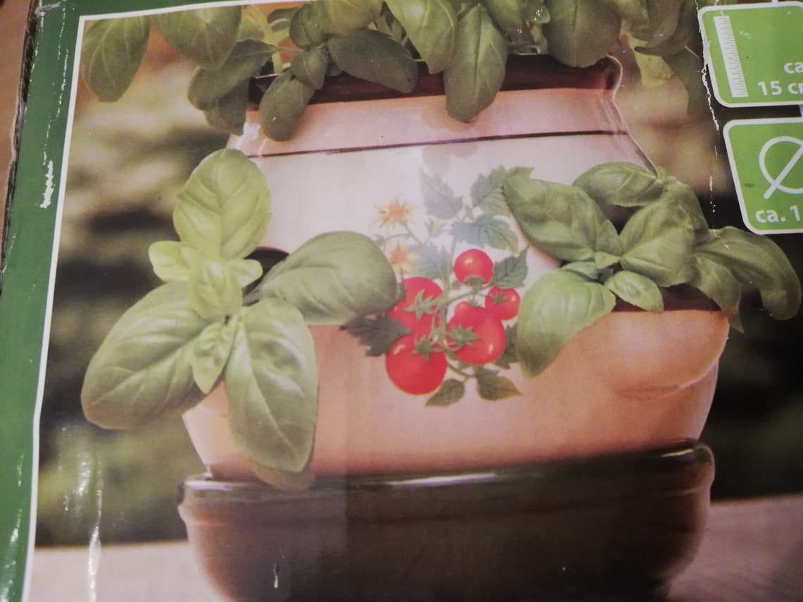 Kräutertopf aus Österreich den Garten in den eigenen vier