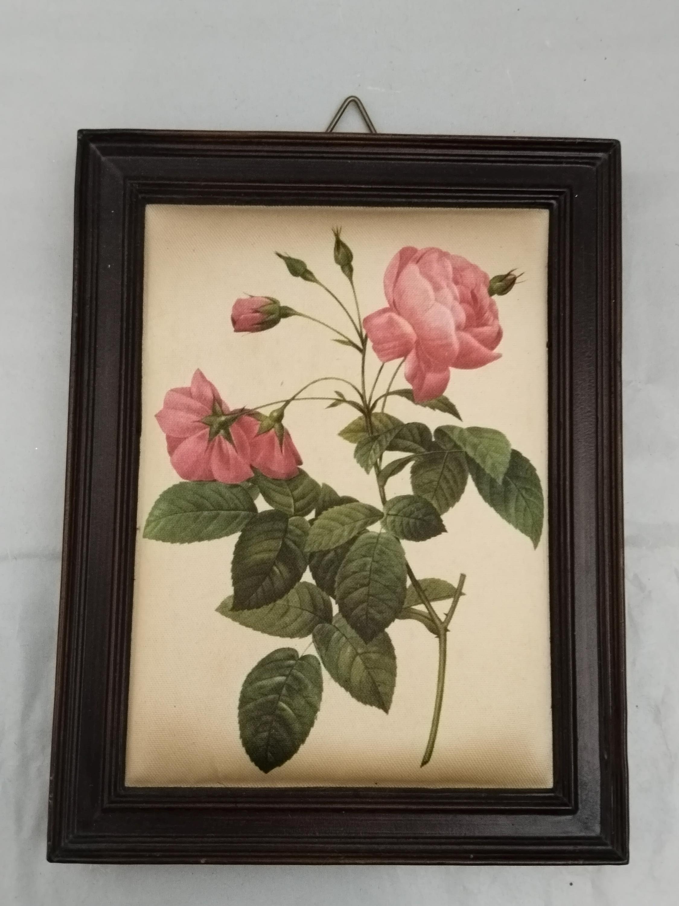lesca vintage 50’s rose frame france lesca vintage 50's rose frame france VINTAGE - lesca vintage 50's