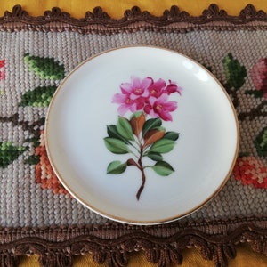 Small, hand-painted decorative plate from the Rosenthal factory. Vintage from Germany.