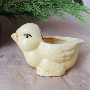 May include: A yellow ceramic chick planter with a small opening for planting. The chick has a black eye and a small beak.