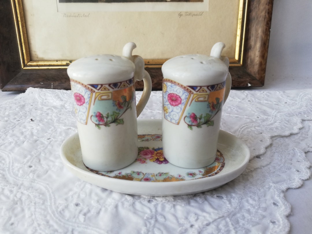 Salt and Pepper Shakers Set by Limoges Vintage From France Etsy