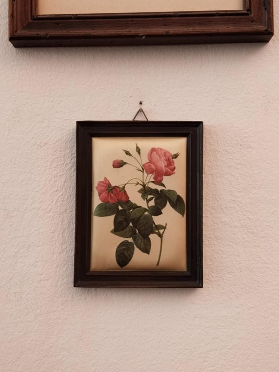 lesca vintage 50’s rose frame france lesca vintage 50's rose frame france VINTAGE - lesca vintage 50's