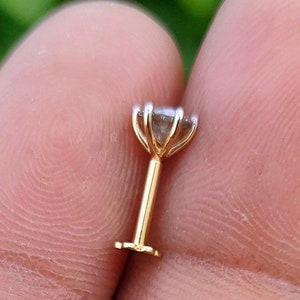 May include: A gold nose stud with a clear gemstone set in a prong setting.