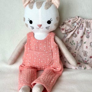 Knuffelkat met kleding