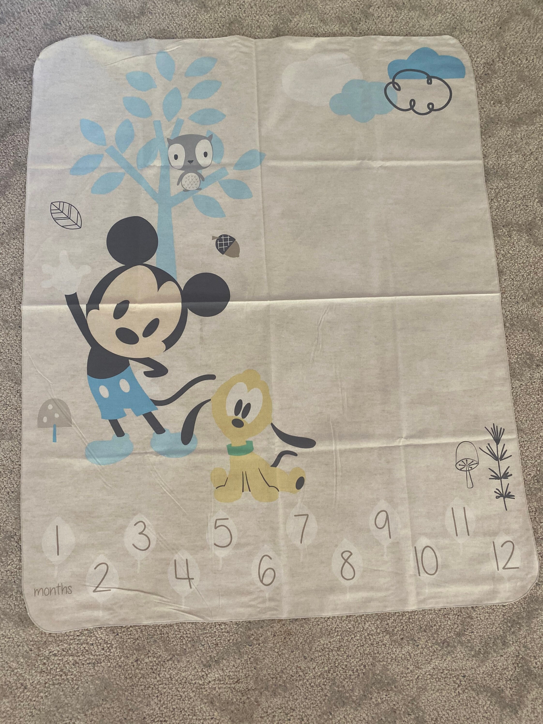 Baby Milestone Mat Disney Theme Dumbo Bambi Minnie Mickey Pooh Bear Woodland Girl Milestone Blanket Boy Milestone Blanket Etsy Canada