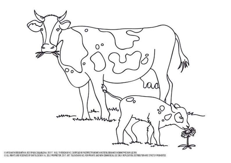 410 Cow Coloring Pages Pdf , Free HD Download 410 Cow Coloring Pages Pdf , Free HD Download