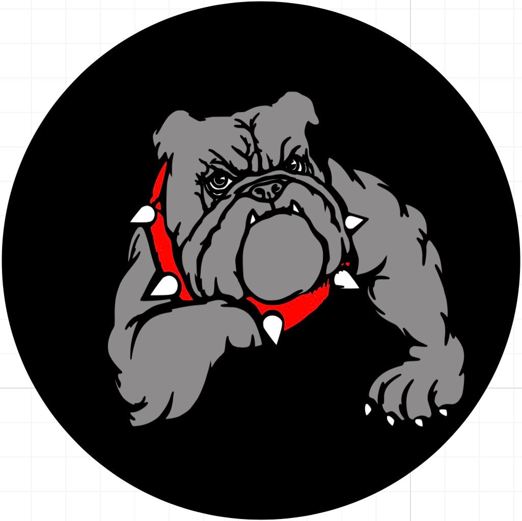 Discover Bulldog spare tire cover