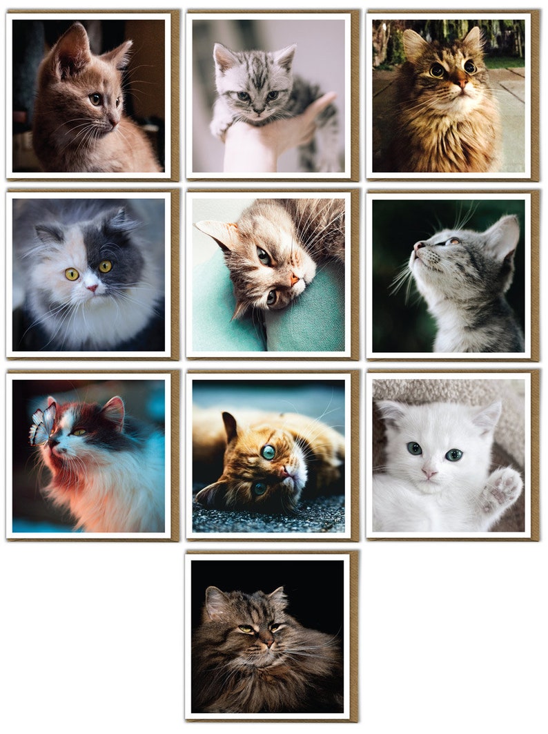 Susse Flauschige Gesicht Katze Karte Fur Ihn Ihr Katzchen Etsy