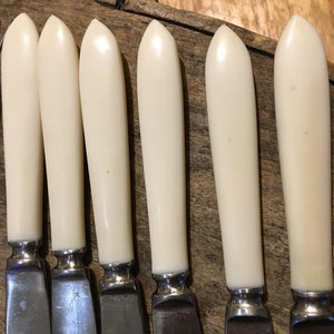 May include: Six silver butter knives with white plastic handles. The knives are arranged in a row on a wooden surface.