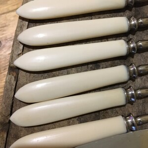 May include: Set of six ivory-colored butter knives with silver handles. The knives are arranged in a row on a wooden surface.