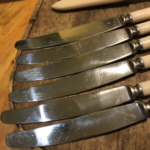 May include: A set of eight silver dinner knives with ivory-colored handles. The knives are arranged in a row on a wooden surface.