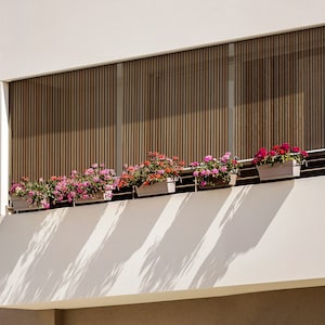 May include: A white building with a balcony featuring a row of potted pink and red flowers. The balcony has a window with brown blinds.