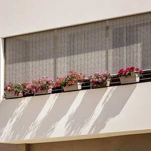 May include: A white building with a balcony featuring a window with a patterned blind and several potted plants with pink and red flowers.