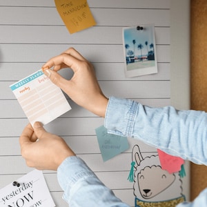 Planificador de cactus, horario, tablero de estado de ánimo, chinchetas, organizador de ideas, tablero de notas para estudiantes, gris