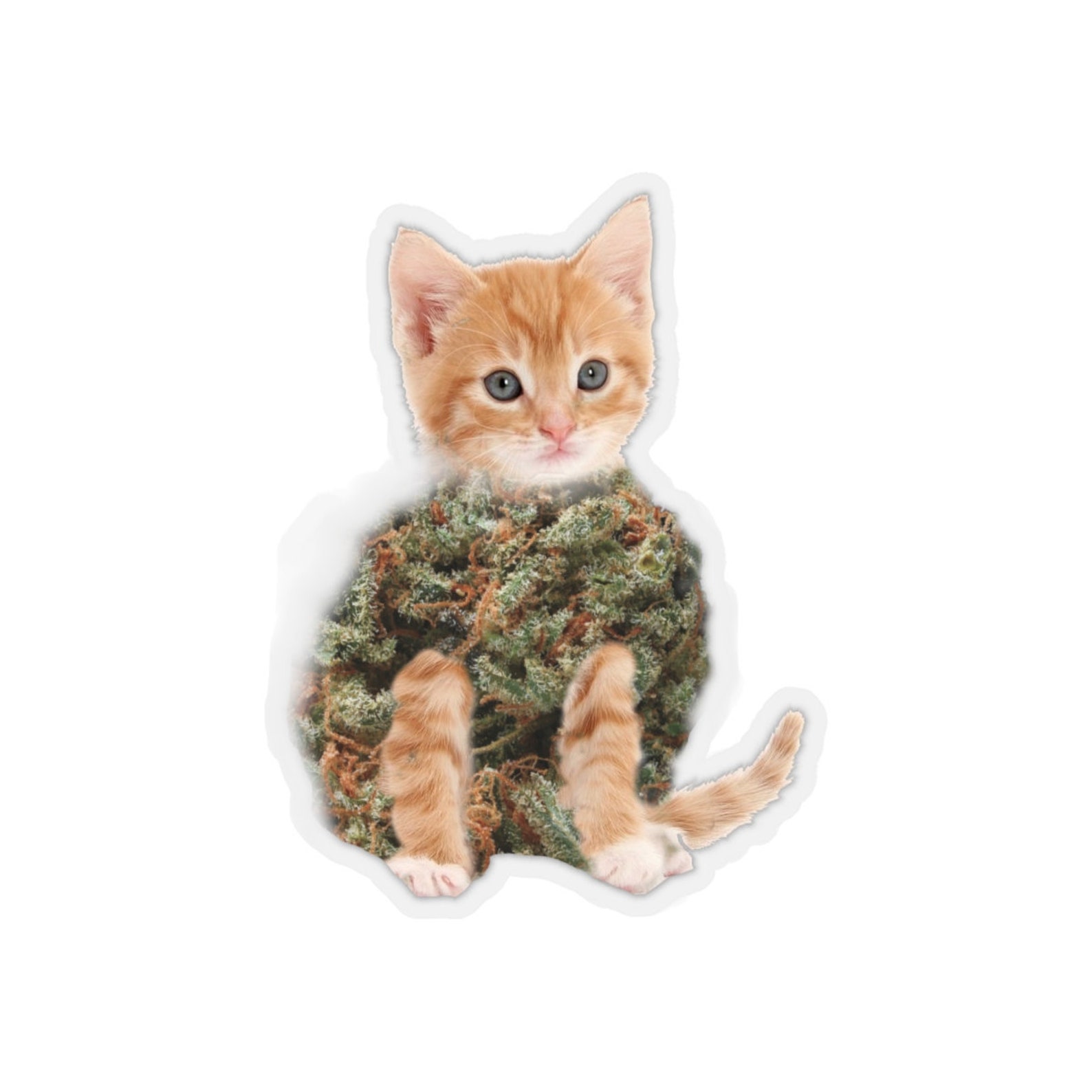 420 cat Sticker Marijuana sticker kitten stickers reefer | Etsy