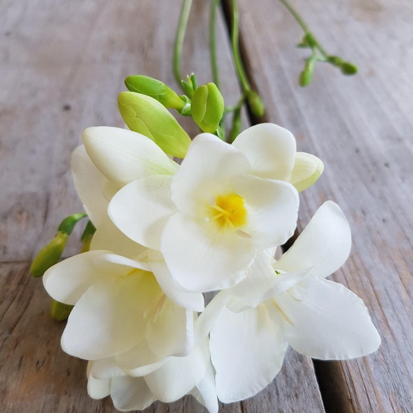 Clearance 15 Freesia - Single White Flower Bulbs from Easy to Grow