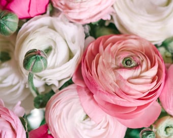 Ranunculus Pastel Collection 30 Buttercup Flower Bulbs - Spring Blooms in Sun, from Easy to Grow