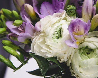 Freesias and Ranunculus 'Blueberries and Cream' Blend 35 Flower Bulbs from Easy to Grow