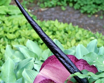 Voodoo Lily Dracunculus Vulgaris 1 Flower Bulb - Summer Blooming Rare Tropical, from Easy to Grow