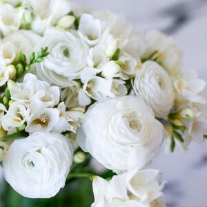 Freesia & Ranunculus - White Clouds Blend 40 Flower Bulbs from Easy to Grow