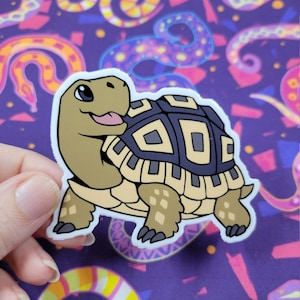 Autocollant tortue