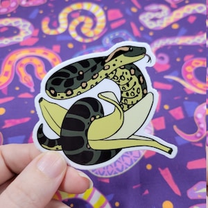 Nanaconda Sticker