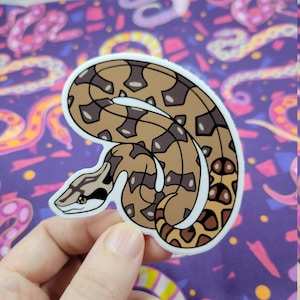 Boa Constrictor Sticker